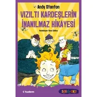 Vızıltı Kardeşlerin İnanılmaz Hikayesi - Andy Stanton - Tudem Yayınları