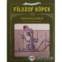 Filozof Köpek - Mevlana İdris - Vak Vak Yayınları