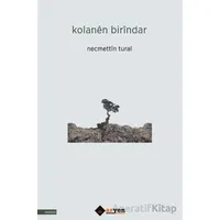 Kolanen Birindar - Necmettin Tural - Aryen Yayınları