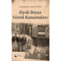 Siyah Beyaz Gönül Kanamaları - Lokman Erdoğan - Karina Yayınevi