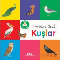 Minik Kitaplarım - Kuşlar - Feridun Oral - Yapı Kredi Yayınları