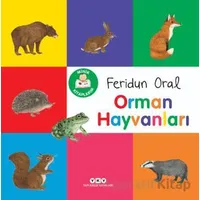 Minik Kitaplarım - Orman Hayvanları - Feridun Oral - Yapı Kredi Yayınları