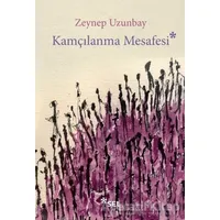 Kamçılanma Mesafesi - Zeynep Uzunbay - Sel Yayıncılık