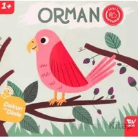 Dokun ve Dinle Sesli Kitabım Orman - Kolektif - Türkiye Diyanet Vakfı Yayınları