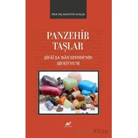 Panzehir Taşlar - Kolektif - Paradigma Akademi Yayınları