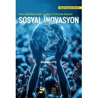 Sosyal İnovasyon - Sosyal İnovasyon Yaklaşımı, Aktörleri, İyi Uygulama Örnekleri