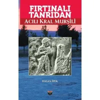 Fırtınalı Tanrıdan Acılı Kral Murşili - Hasan İpek - Bilgin Kültür Sanat Yayınları