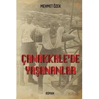 Çanakkale’de Yaşananlar - Mehmet Özek - Cinius Yayınları