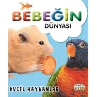 Bebeğin Dünyası Evcil Hayvanlar - Kollektif - 0-6 Yaş Yayınları