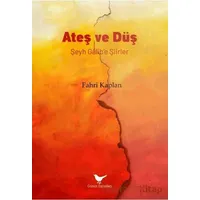 Ateş ve Düş: Şeyh Gâlib’e Şiirler - Fahri Kaplan - Günce Yayınları