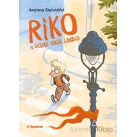 Riko ve Gizemli Sokak Lambası - Andreas Steinhöfel - Tudem Yayınları