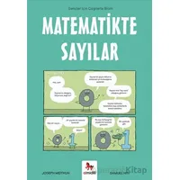 Matematikte Sayılar – Gençler İçin Çizgilerle Bilim - Samuel Hiti - Almidilli