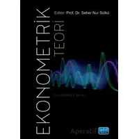 Ekonometrik Teori - Seher Nur Sülkü - Nobel Akademik Yayıncılık
