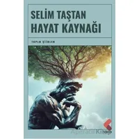 Hayat Kaynağı - Selim Taştan - Klaros Yayınları