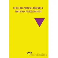 Kedilerde Prenatal Dönemden Pubertasa Folikülogenezis - Ömer Korkmaz - Gece Kitaplığı
