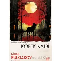 Köpek Kalbi - Mihail Bulgakov - Dokuz Yayınları