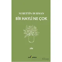 Bir Hayli Ne Çok - Nurettin Durman - Çıra Yayınları