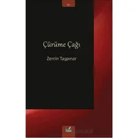 Çürüme Çağı - Zerrin Taşpınar - İzan Yayıncılık