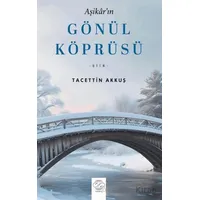 Aşikarın Gönül Köprüsü - Tacettin Akkuş - Post Yayınevi