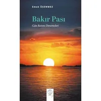 Bakır Pası (Gün Batımı Denemeleri) - Emek Üşenmez - Post Yayınevi