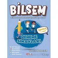 Bilsem 2 Deneme Sınavları - Tacettin Kandemir - Fark Yayınları