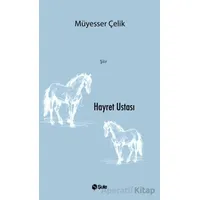 Hayret Ustası - Müyesser Çelik - Şule Yayınları