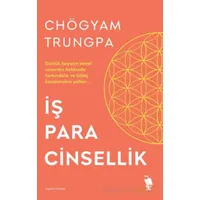 İş Para Cinsellik - Chögyam Trungpa - Nemesis Kitap