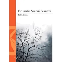 Fırtınadan Sonraki Sessizlik - Selim Ergun - Hayal Yayınları