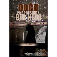 Doğu Ekspresinde Bir Kedi - Onur Çimen - Sokak Kitapları Yayınları
