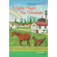 Köyde Hayat Ne Güzeldir - Mustafa Akgün - Akgün Yayıncılık