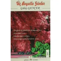Üç Boyutlu Günler - Gülay Gençer - Palmiye Kitapları