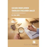 Çalışma Koşullarının Verimlilik Etkilerinin Analizi - Dilek Şenel - Gazi Kitabevi