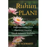 Ruhun Planı - Robert Schwartzman - Destek Yayınları