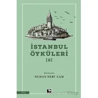 İstanbul Öyküleri 2 - Kolektif - Çınaraltı Yayınları