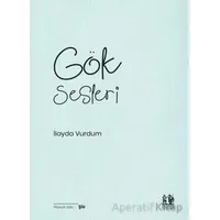 Gök Sesleri - İlayda Vurdum - Pikaresk Yayınevi