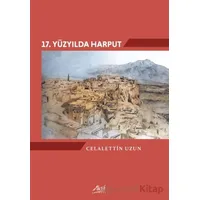 17. Yüzyılda Harput - Celalettin Uzun - Aktif Yayınevi