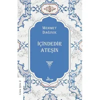 İçindedir Ateşin - Mehmet Dağınık - Girdap Kitap