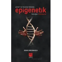 Şiddet ve Tecavüz Tarihine Epigenetik Yaklaşım Dün/Bugün - Denis Dreisbusch - Somut Yayınları