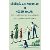 Günümüz Aile Sorunları ve Çözüm Yolları - Kolektif - Pozitif Yayınları