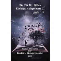 Bir İdik Bin Olduk Edebiyat Çalışmaları 3 - Hasan Güneş - Gece Kitaplığı