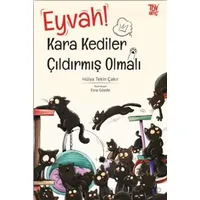 Eyvah Kara Kediler Çıldırmış Olmalı - Hülya Tekin Çakır - Türkiye Diyanet Vakfı Yayınları