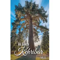 Kehribar - Ali Gökçe - Gülnar Yayınları