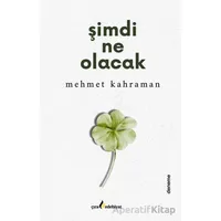 Şimdi Ne Olacak - Mehmet Kahraman - Çıra Yayınları
