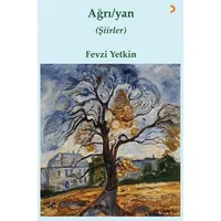 Ağrı / yan - Fevzi Yetkin - Cinius Yayınları