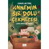 Annemin Sır Dolu Çekmecesi - Gamze Aktürk - Aile Yayınları