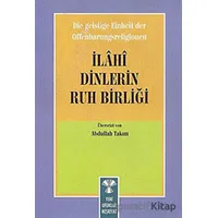 Die Geistige Einheirt Der Offenbarungsreligionen: İlahi Dinlerin Ruh Birliği