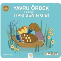 Yavru Ördek Öğreniyor Tıpkı Senin Gibi - Elodie Coudray - 1001 Çiçek Kitaplar