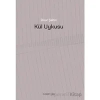 Kül Uykusu - Onur Şahin - Everest Yayınları