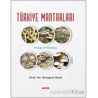 Türkiye Mantarları - Ertuğrul Sesli - Alfa Yayınları