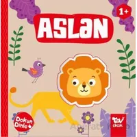 Dokun Dinle Aslan - Kolektif - Türkiye Diyanet Vakfı Yayınları
